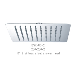 10” Stainless steel shower head (PVD)