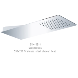 Ultrathin Stainless steel Shower Head