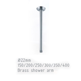Brass shower arm
