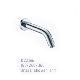 Brass shower arm